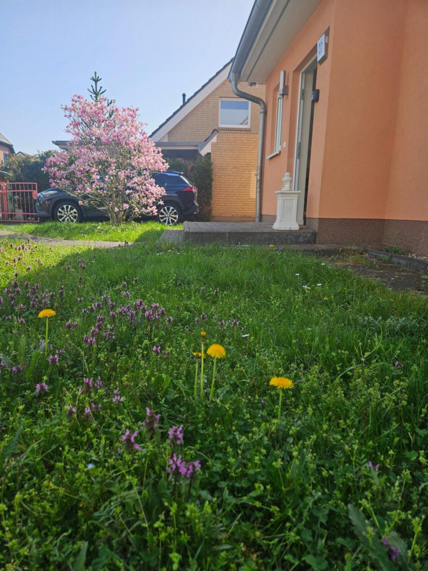Appartement Cozy House And Free Parking Berlijn