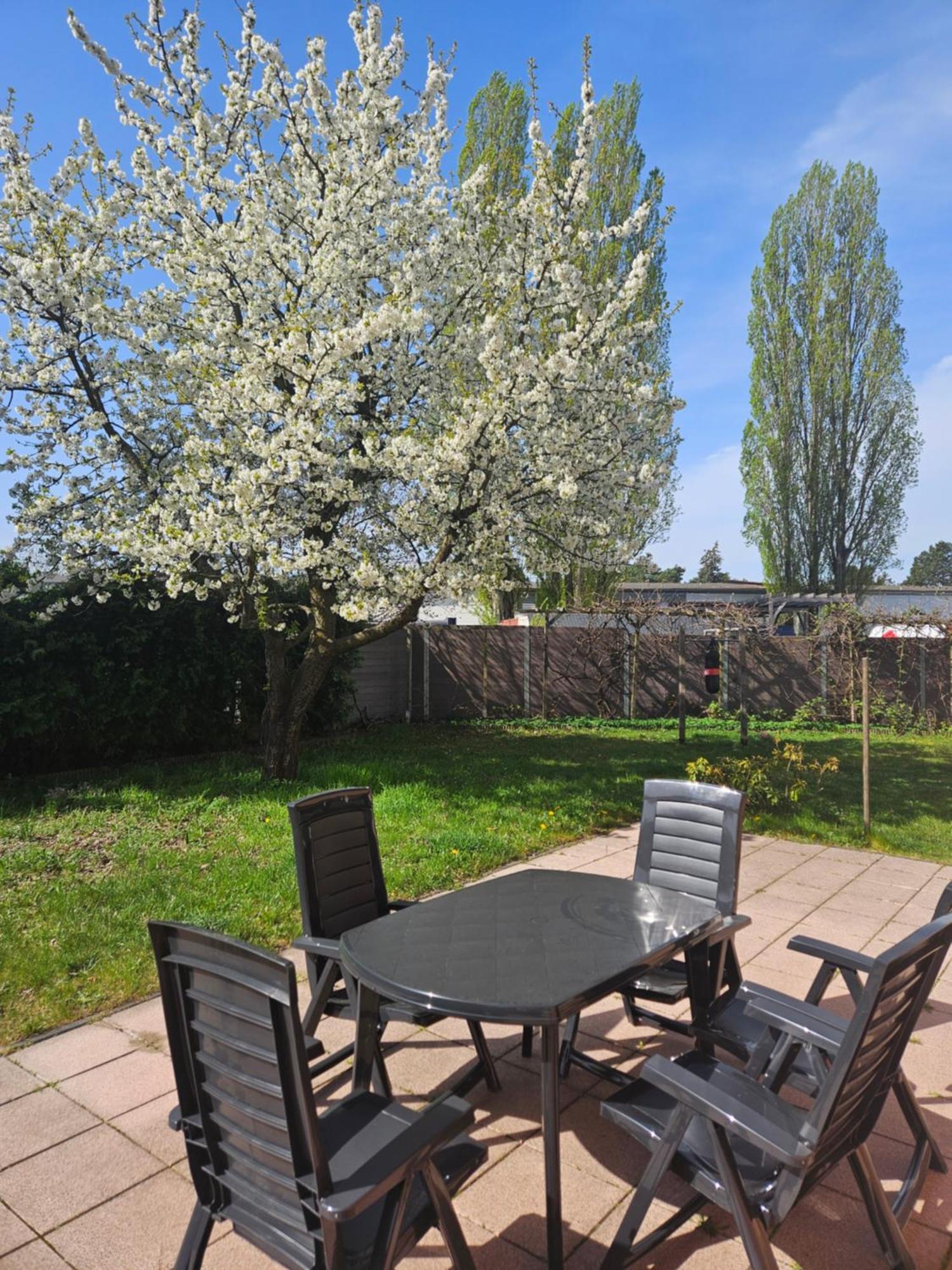 Cozy House And Free Parking * Berlim